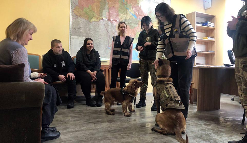 Підтримка через довіру та взаємодію